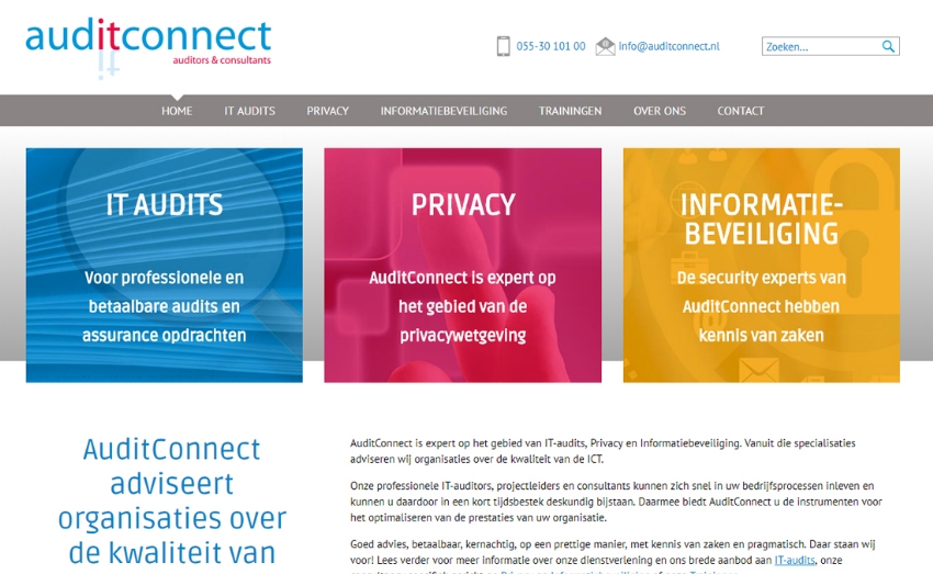 Voor zoekmachines geoptimaliseerde website voor AuditConnect