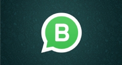 Business WhatsApp through WhatsApp Business - -